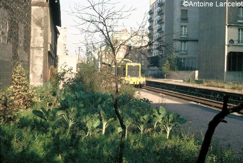 Potager et train de marchandises le long des quais de la station rue Claude Decaen dans les années1960 